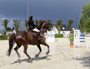 concours hippique,saut d'obstacles
