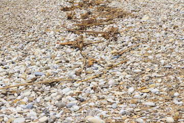 Strand mit Strandgut