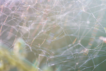 Abstract fibres in close-up. Web