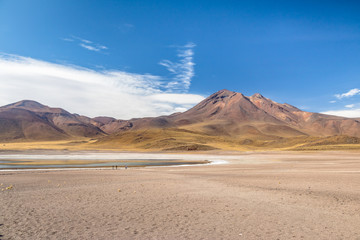 Fototapeta na wymiar Miscanti Lagoon - Atacama Desert, Chile