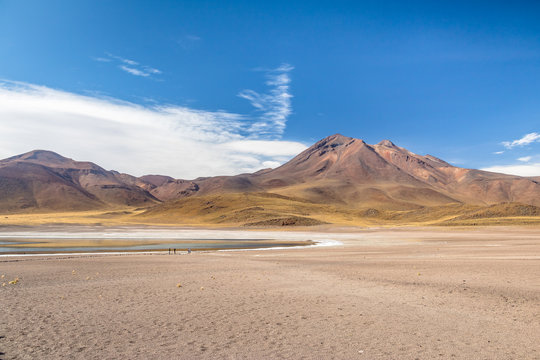 Miscanti Lagoon - Atacama Desert, Chile