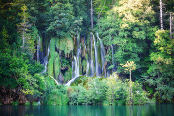 Plakat Beautiful summer forest waterfall