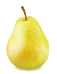 Ripe yellow pear with stem isolated