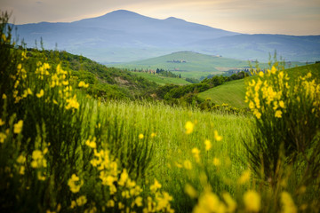 Scenery near to Pienza, Tuscany. The area is part of the Val d'Orcia Italy
