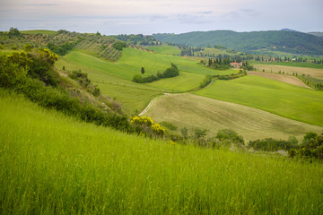 Fototapeta na wymiar Scenery near to Pienza, Tuscany. The area is part of the Val d'Orcia Italy