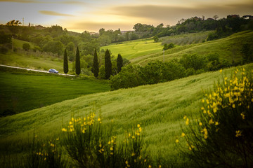 Scenery near to Pienza, Tuscany. The area is part of the Val d'Orcia Italy