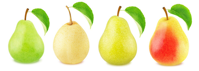 Collection of different pear fruits