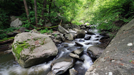 Tamrash river, Rhodope mountain, Bulgaria 