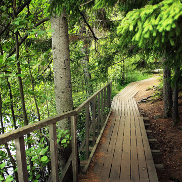 Wooden pathway in forests of Valaam island. Aged photo. Footpath in the woods. Toned. Walkway in the grove. Outdoors. Republic of Karelia, Russia.