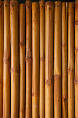 Fototapeta premium Orange brick walkway for Background