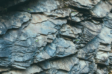 Schweizer Natur