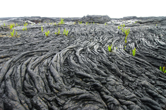 Lava fiels
