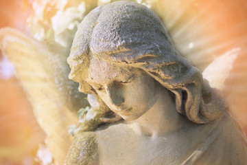 Majestic view of statue of golden angel illuminated by light against a background of dark foliage.