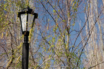 Street lamp