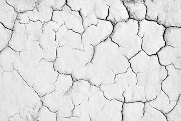 Crack soil texture background