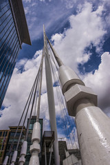 Cable-stayed bridge