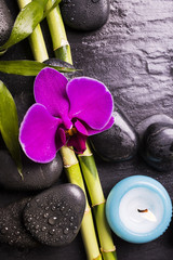 orchidea con sassi e candele profumate