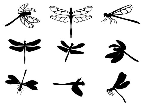 Set of silhouettes of dragonflies, vector eps 10