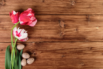 Tulips flowers and eggs decoration over wooden background. Top view, text space