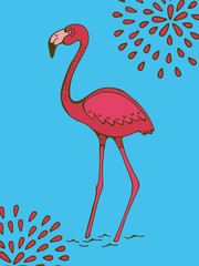 Colorful hand drawn poster with flamingo on blue background