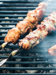 Kebab, meat on skewers, fried on coals