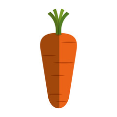 carrot vegetable healthy food vector illustration design
