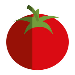 tomato vegetable healthy food vector illustration design