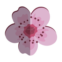 cute summer flower icon vector illustration design