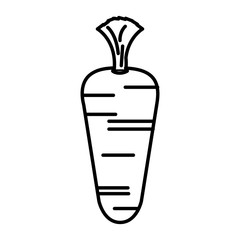 carrot vegetable healthy food vector illustration design