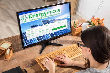 Fototapeta premium Woman Comparing The Energy Prices On Computer