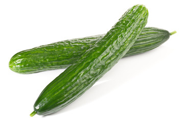 Frische Salatgurken - Gurken für Salat