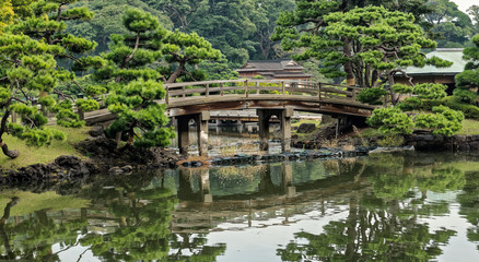 Wooden bridge in the Hama-rikyu Japanese Garden, an oasis of peace in bustling central Tokyo, Japan