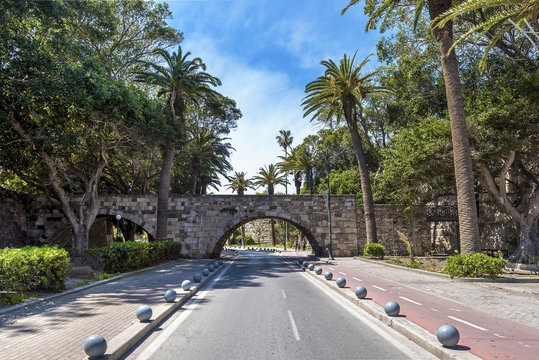 Palm avenue in Kos island, Greece