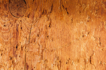 Detailed closeup of wooden board texture