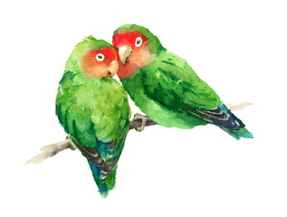 Watercolor Birds Lovebirds On The Branch Valentine's Day Illustration Love Hand Drawn isolated on white background