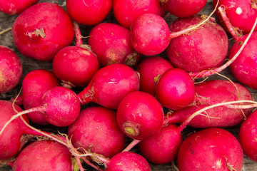 Fresh healthy red raddisch closeup