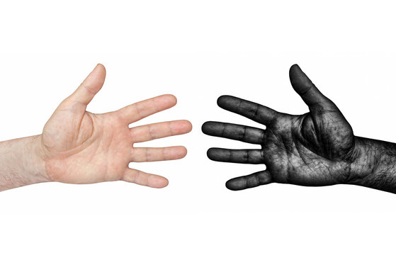 Black and White color Human Hands isolated on white background taken closeup.