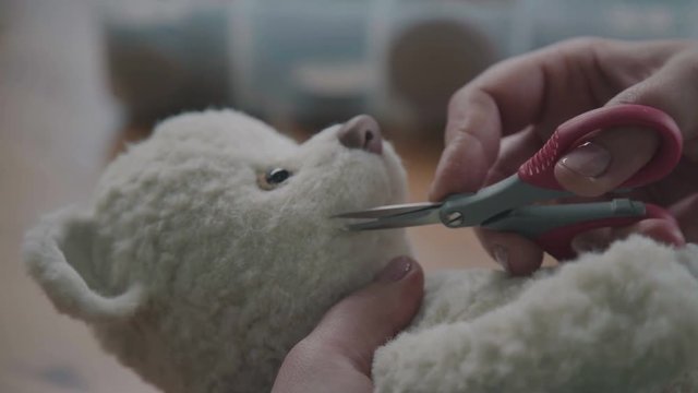Repair of plush toys: women's hands sew a teddy bear. Making soft toys handmade. Sew a soft toy: seam on the back. Female hands sew a teddy bear in an old-fashioned style. Sewing head of a plush toy.