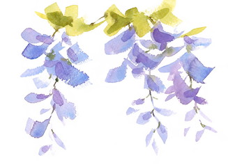 Watercolor Lilac Blue Flowers Wisteria Hand Drawn Floral Abstract Background Texture Illustration