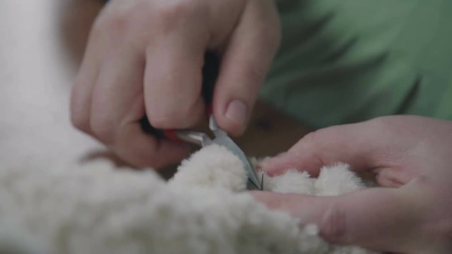 Stitching the details of a plush toy. Repair of plush toys: women's hands sew a teddy bear. Making soft toys handmade. Sew a soft toy: the seam on the back.