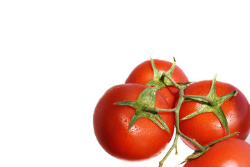 Red tomatoes on a branch