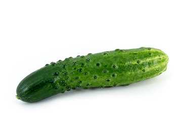 Fresh green cucumber on white