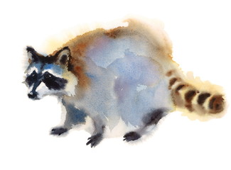 Watercolor Raccoon Animal Hand Drawn Illustration Isolated on white background