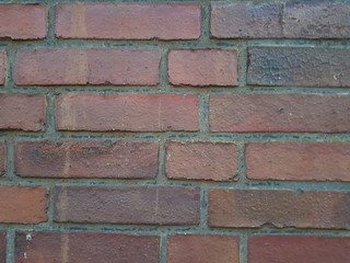 Obraz premium Bricks