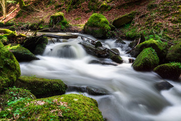 Otterbachtal-15   Wildbach im Bayerischen Wald