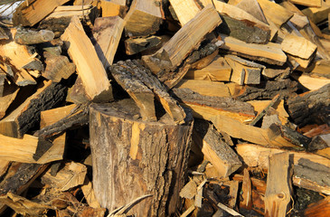 Big pile of firewood prepared for winter