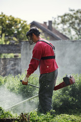 man work with string trimmer cutting the grass.