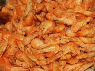 shrimp