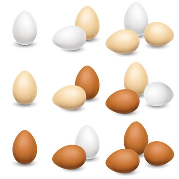 Egg set on a white background. Different color village hens eggs. Vector illustration