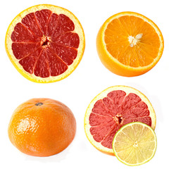 a collage of tangerine, orange, grapefruit and lime on a white background